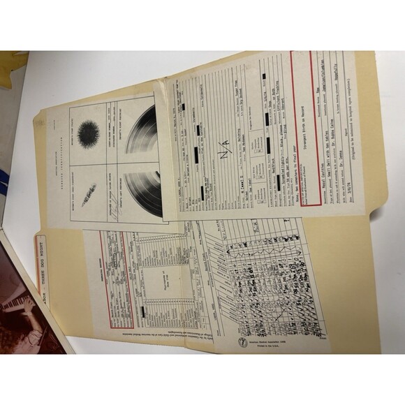 Three Dog Night Hard Labor ABC/Dunhill Records DSD-50168 1974 - Picture 6 of 6